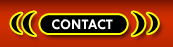 Domination Phone Sex Contact Seattle