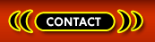 Girls Phone Sex Contact Seattle